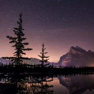 Meet your Posher, Audrey